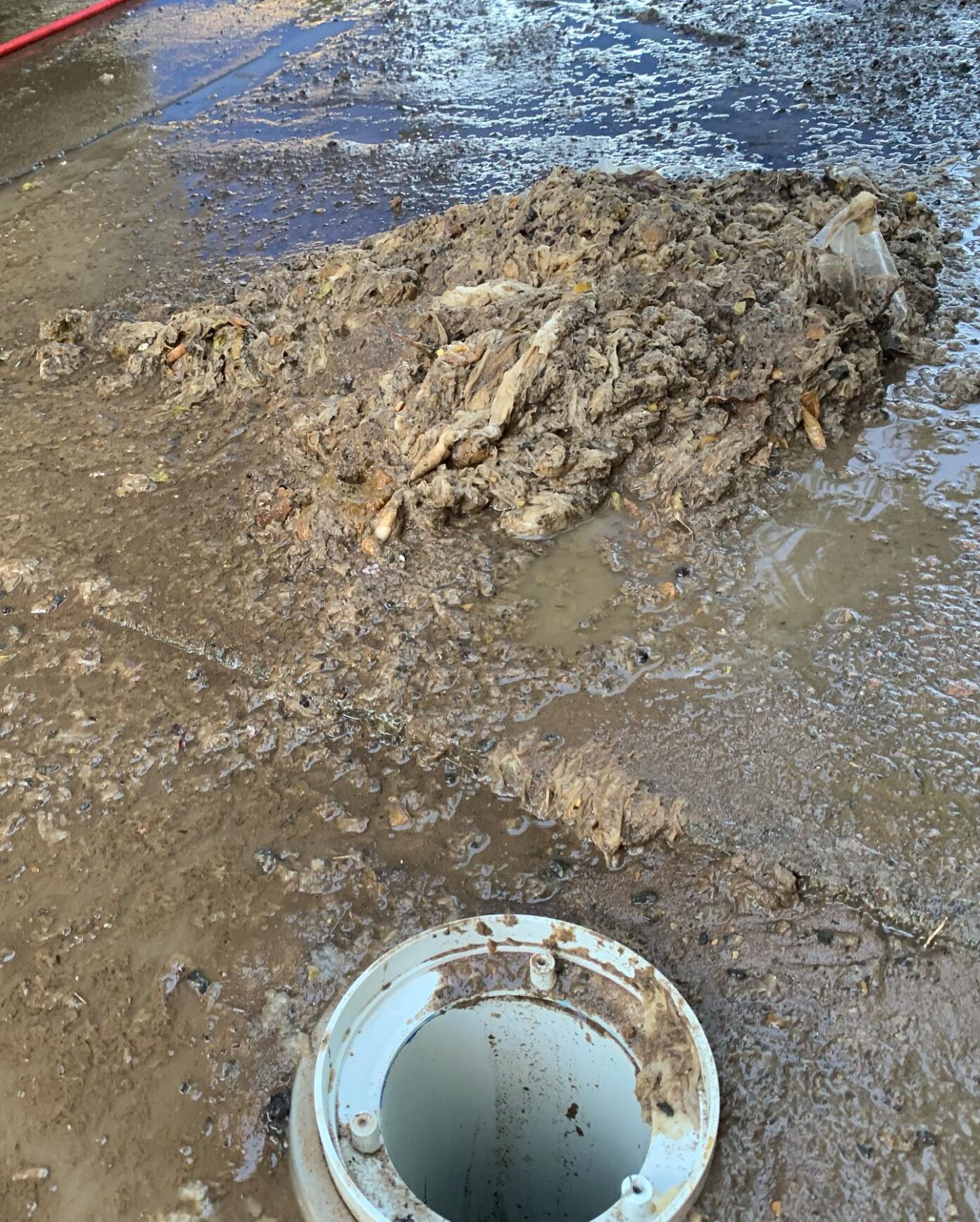 blocked drain overflow health risks