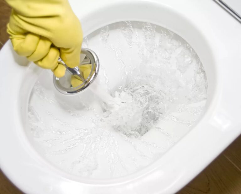 Toilet Troubles: Quick DIY Toilet Fixes for Emergency Flush Problems