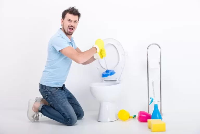 Tackling a Plumbing Emergency: DIY Solutions for a Blocked Toilet