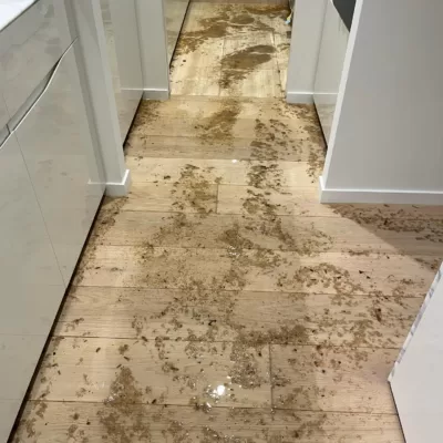 blocked drain in kitchen