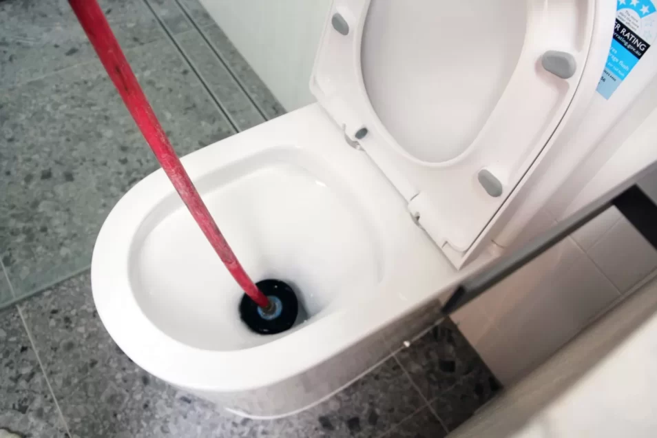 Blocked Toilets