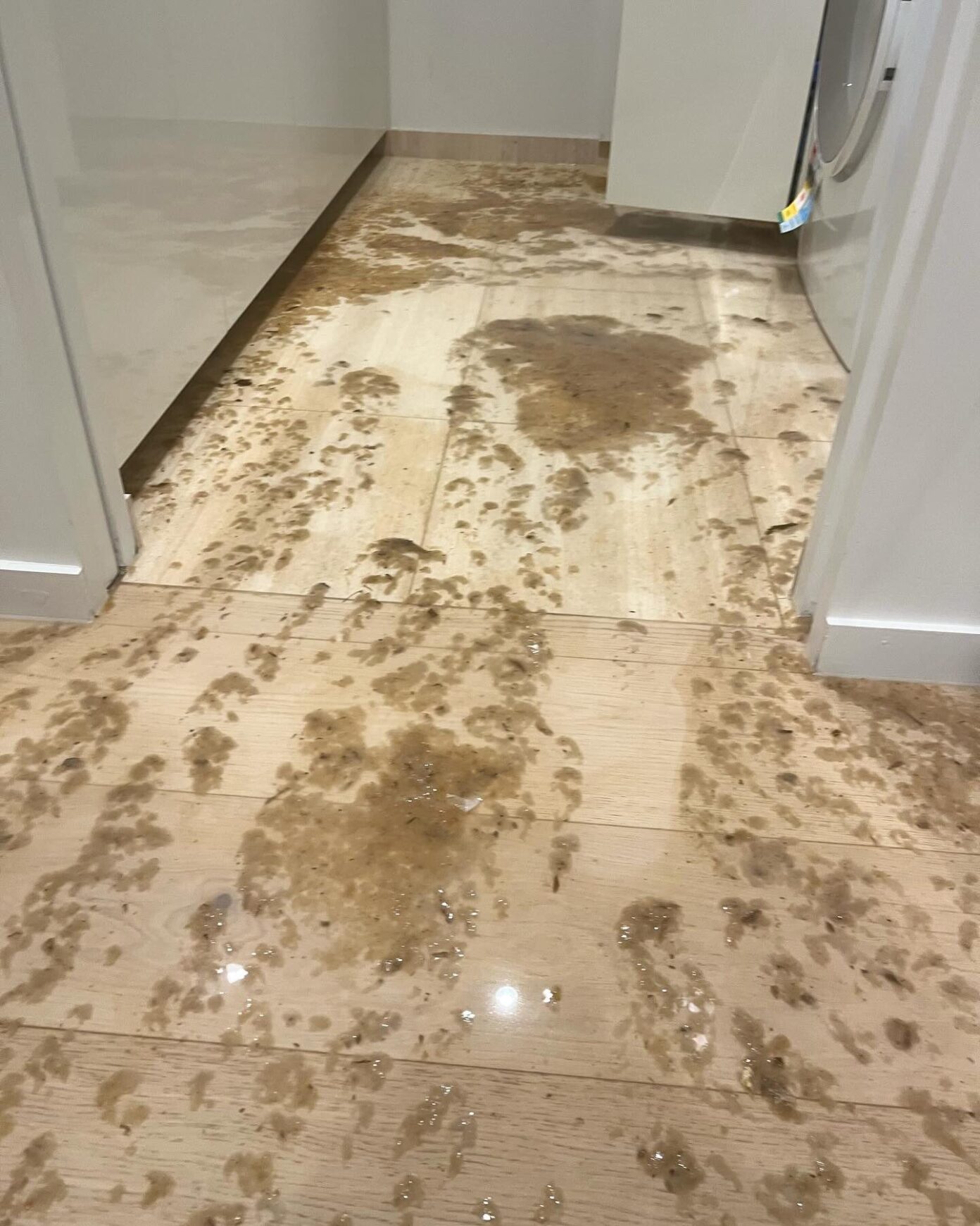 Sewage-contaminated water leaking onto timber-look flooring in hallway during plumbing emergency
