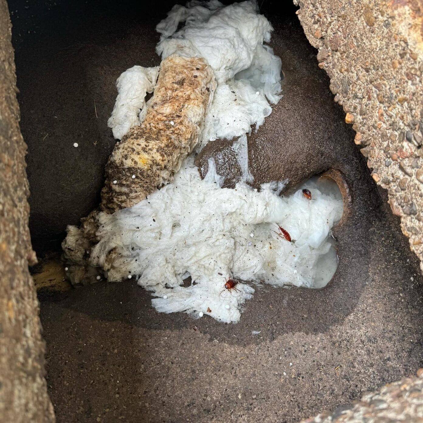 Sewer manhole blocked by wet wipes and tree roots, causing severe sewer backup