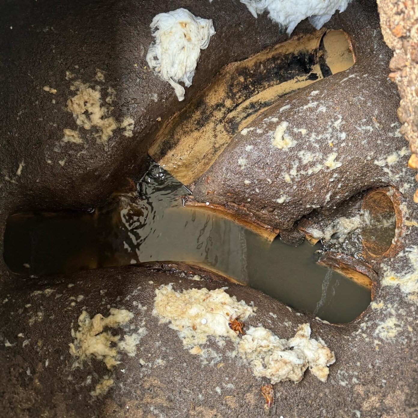 Cleared sewer manhole showing restored water flow after blockage removal on the Gold Coast