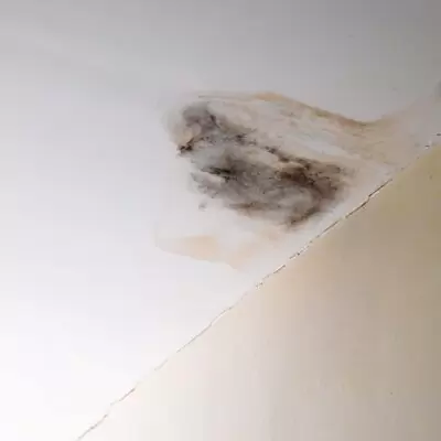 Leaking Roof Repairs Gold Coast