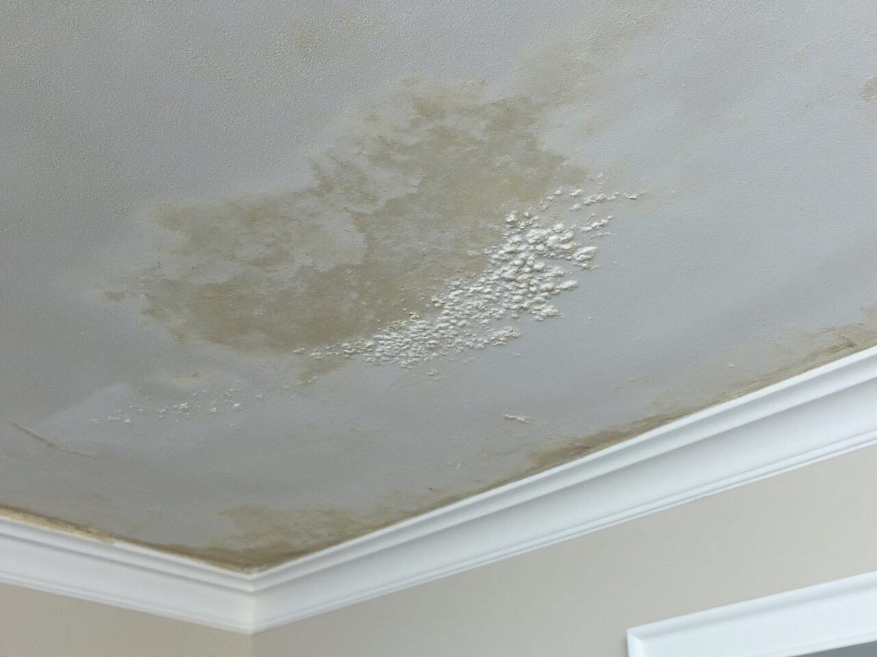 Water-stained residential ceiling with bubbling paint from roof leakage and prolonged moisture exposure.