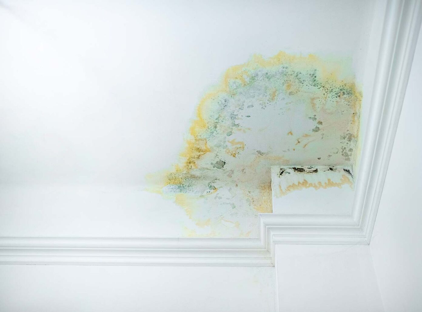 Water-damaged ceiling with visible yellow stains and mould growth—common signs of a leaking roof requiring urgent repair