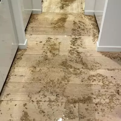 Plumbing Emergency