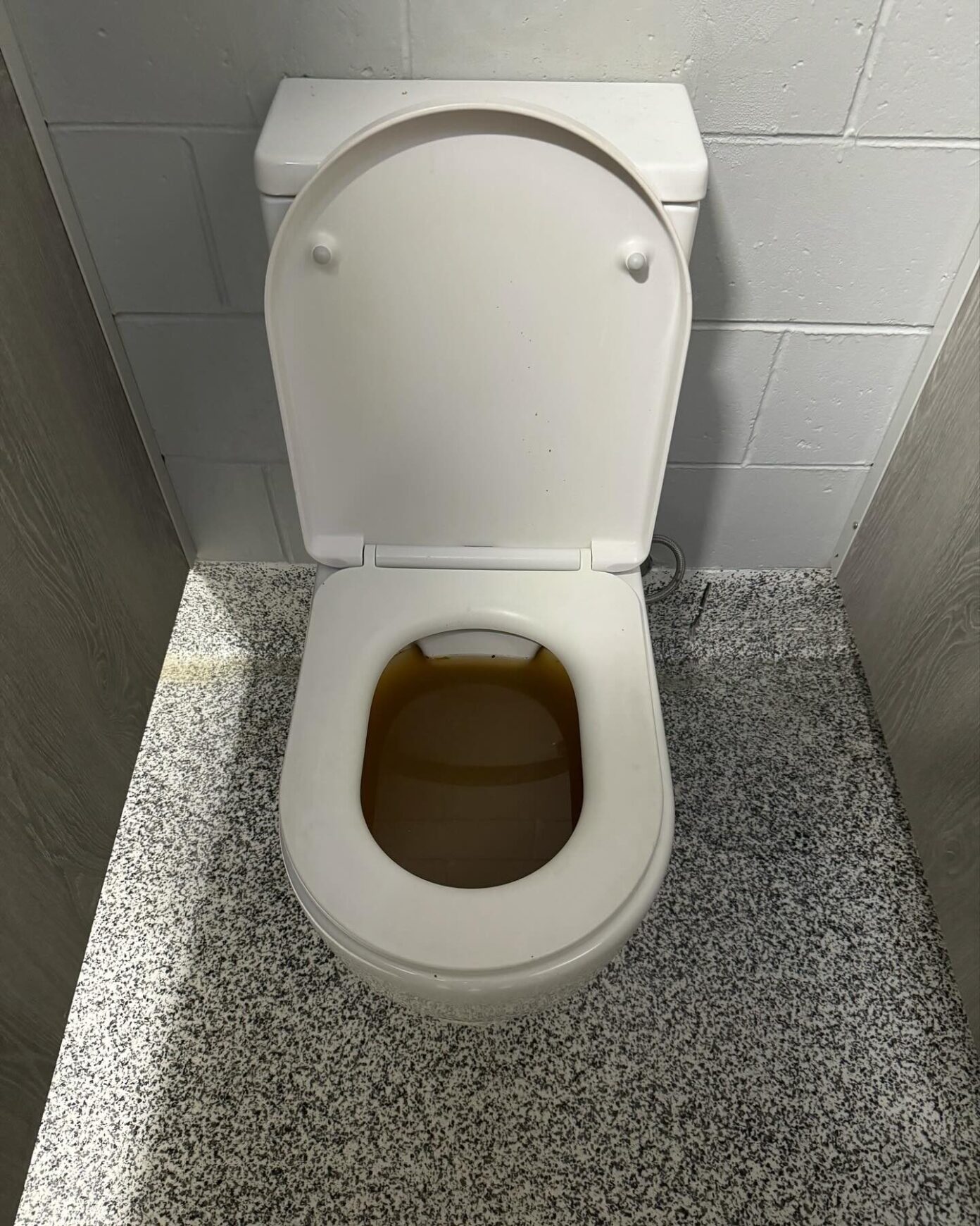 School toilet filled with brown wastewater from sewer backup during plumbing emergency