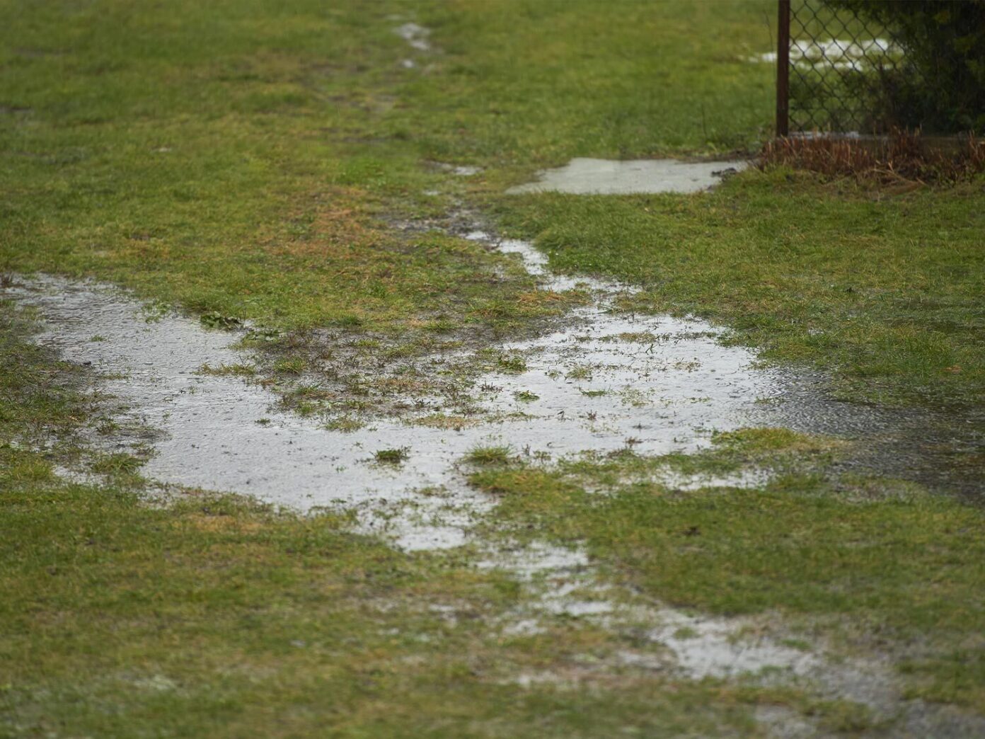 Saturated lawn, indicating poor drainage near the house foundation