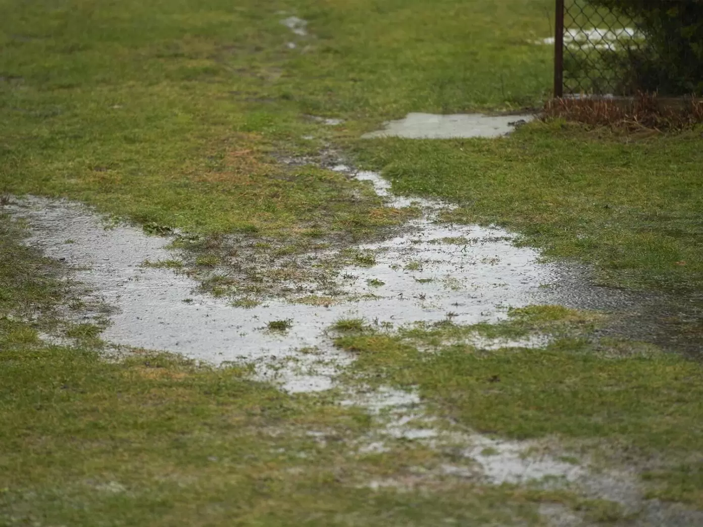 Saturated lawn, indicating poor drainage near the house foundation