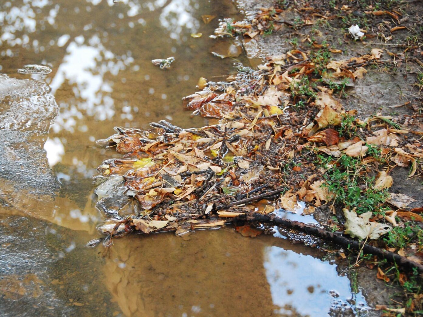 Erosion in a garden bed with washed-out mulch due to poor drainage after heavy rainfall