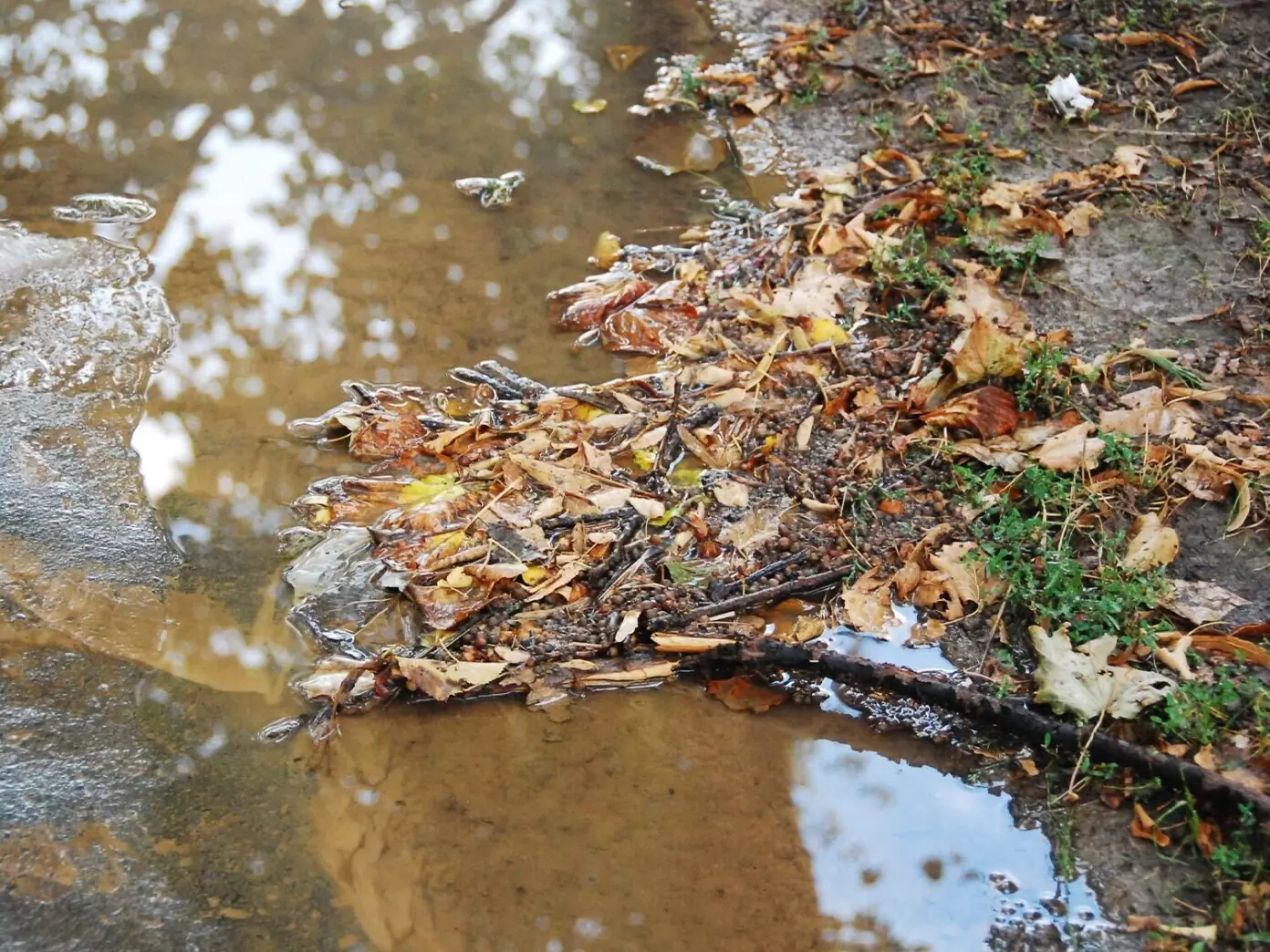 Erosion in a garden bed with washed-out mulch due to poor drainage after heavy rainfall