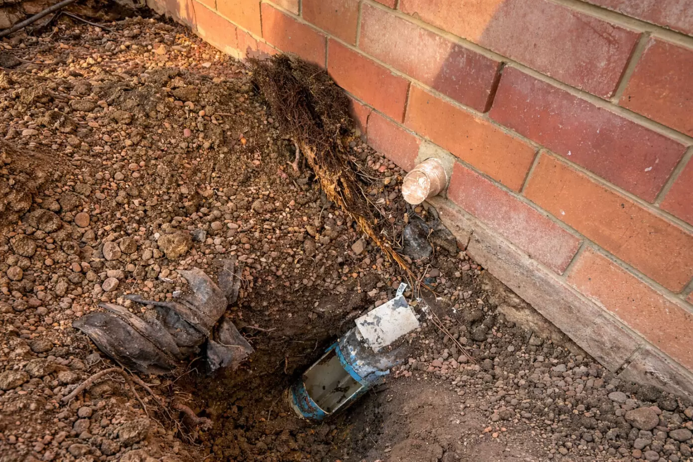 Tree roots invading a residential sewer pipe near a house on the Gold Coast